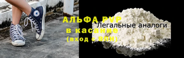 сатива Вяземский