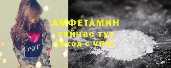 сатива Вяземский