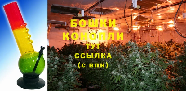 дурь Пересвет