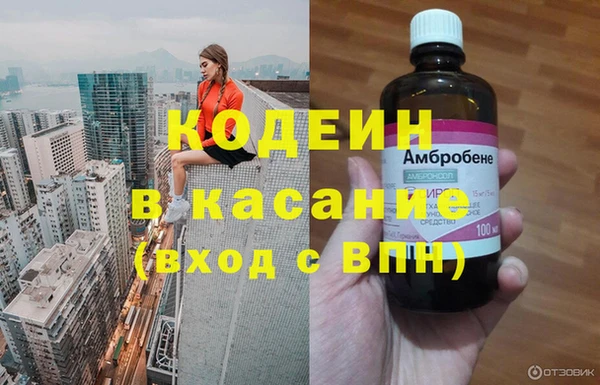 сатива Вяземский