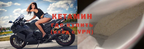 сатива Вяземский