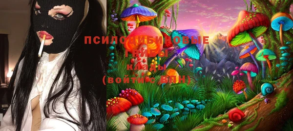 сатива Вяземский