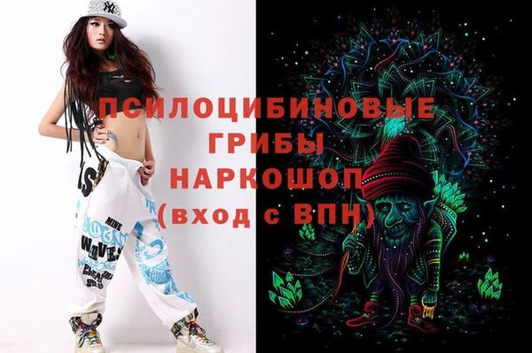 сатива Вяземский
