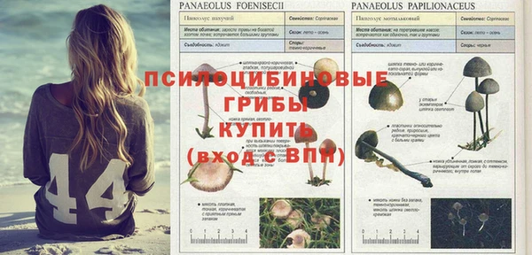 а пвп мука Вязьма