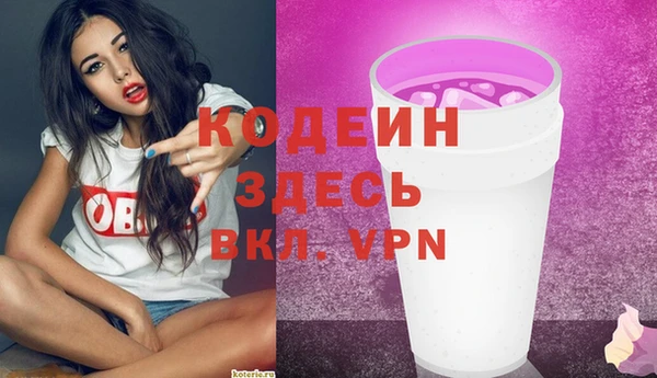 сатива Вяземский