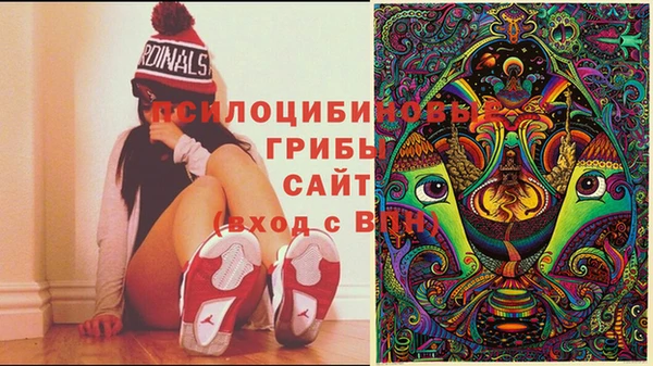 сатива Вяземский