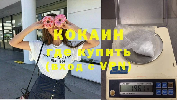 сатива Вяземский
