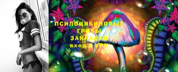 дживик Вязники