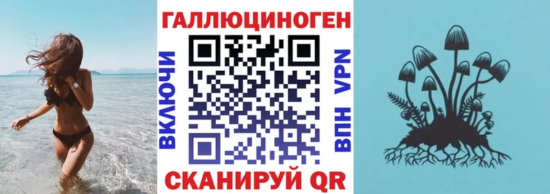 blacksprut   Олёкминск  Галлюциногенные грибы Psilocybe 